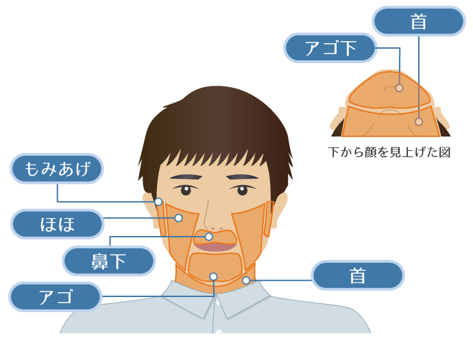 メンズひげ脱毛プラン 各部位の範囲（もみあげ、ほほ、鼻下、アゴ、首、アゴ下、首）