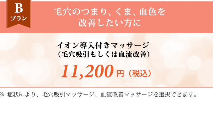 Bプラン 毛穴のつまり、くま、血色を改善したい方に　イオン導入付きマッサージ（毛穴吸引もしくは血流改善） 11,200円（税込） ※症状により、毛穴吸引マッサージ、血流改善マッサージを選択できます。